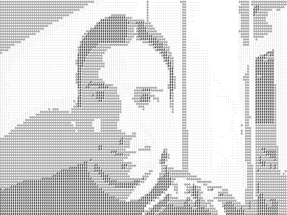 Dennis, Senior full-stack developer & architect bij Tulipsoft
